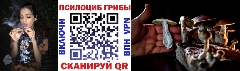 Галлюциногенные грибы Magic Shrooms Слободской