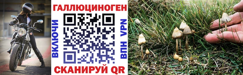 Галлюциногенные грибы прущие грибы  Слободской 