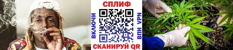 магазин продажи   ОМГ ОМГ   Каннабис сатива  Слободской 